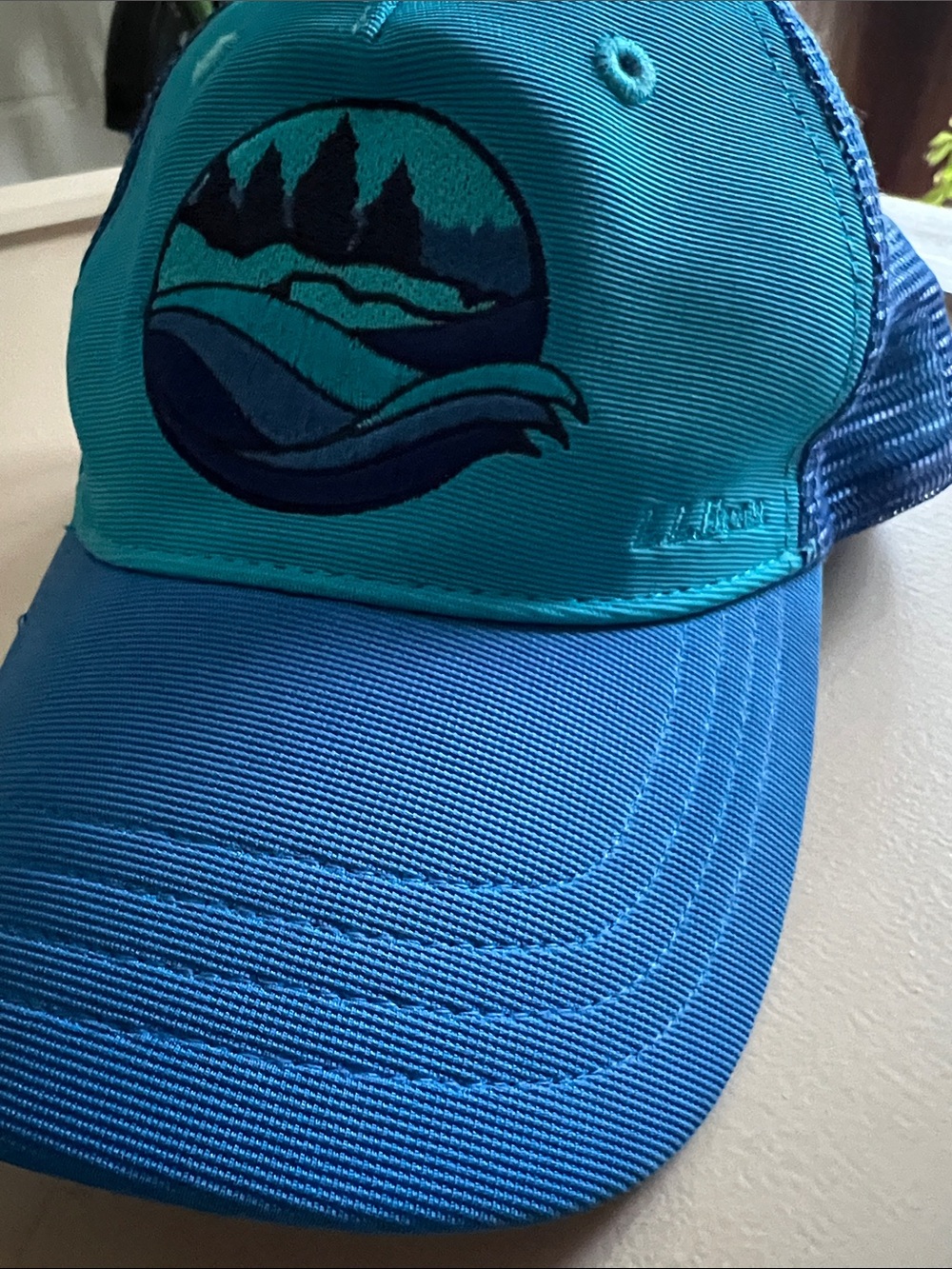 Teal and Blue all Bean Outdoor-scape Baseball Cap
